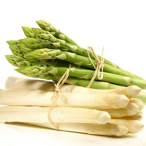 Aspergeplanten 'Vitalim'