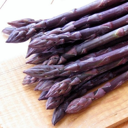 Asparagus, Purple 'Purple Passion' / 'Sweet Purple'