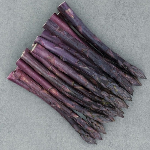 Asperge, Paarse 'Erasmus'