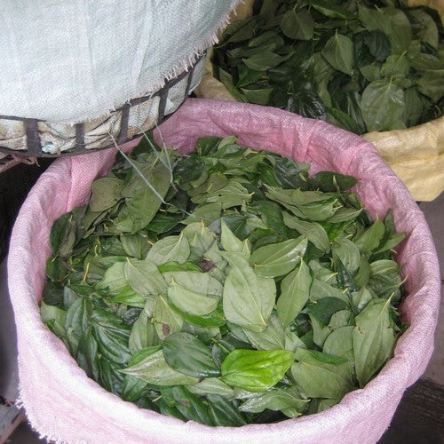 Betel