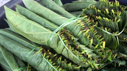 Betel