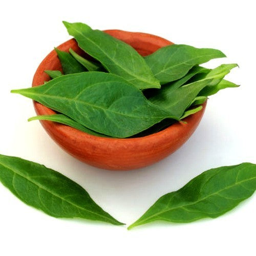Hennaplant
