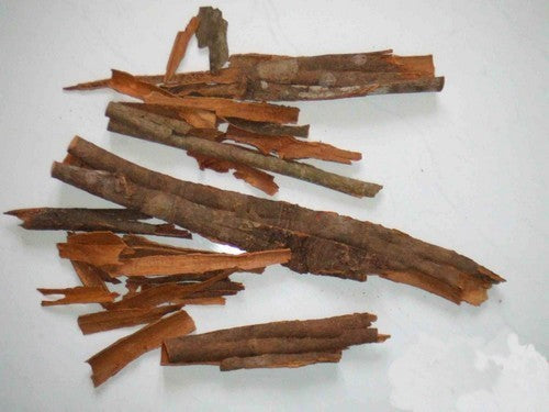 Cinnamon tree