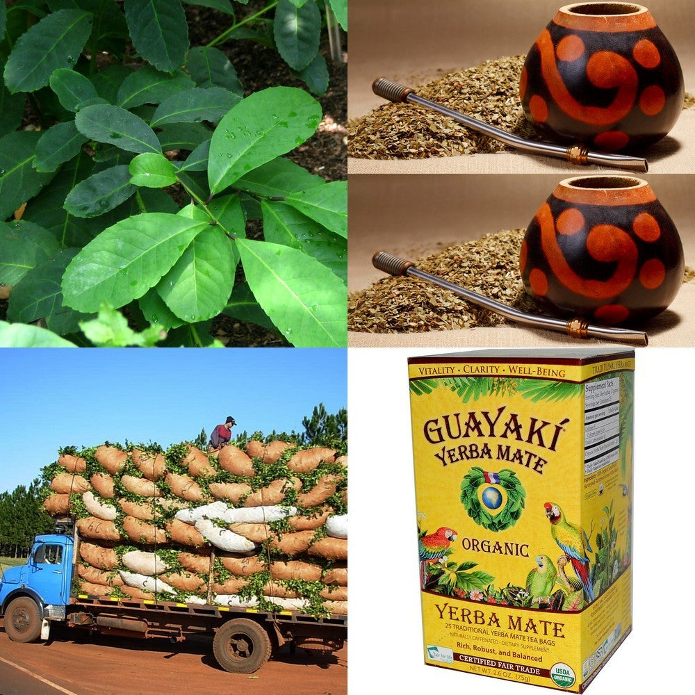 Matéplant