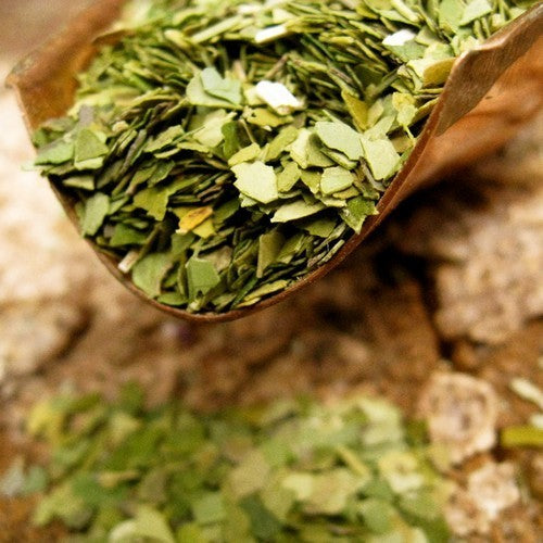 Matéplant