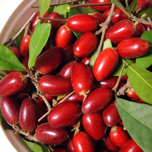 Mirakelbes