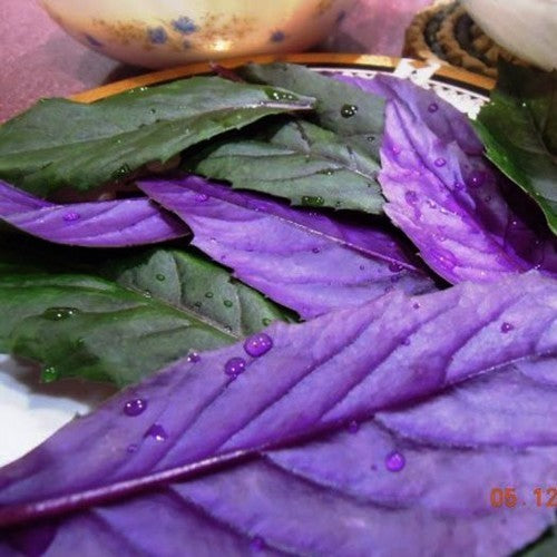Okinawa Spinazie