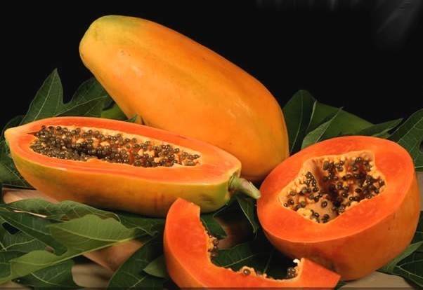 Small Papaya