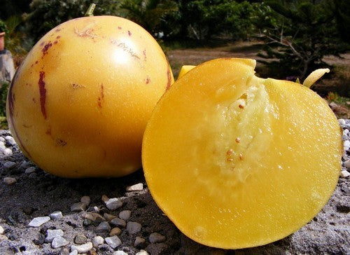 Pepino