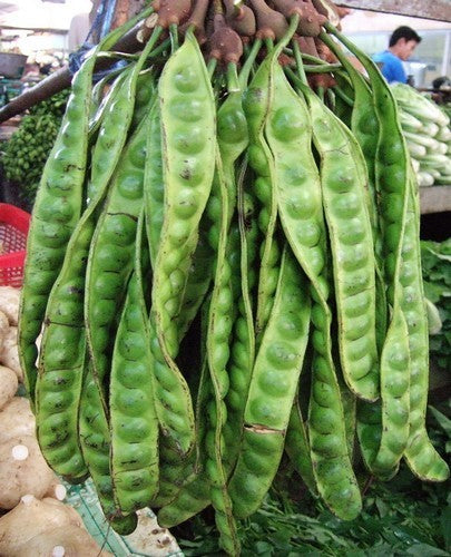 Petéhboom