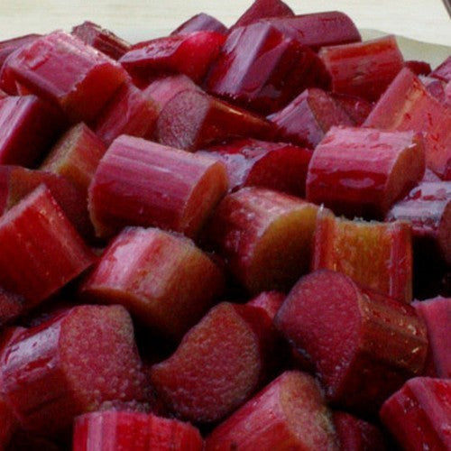 Rabarber 'Ruby Jack'
