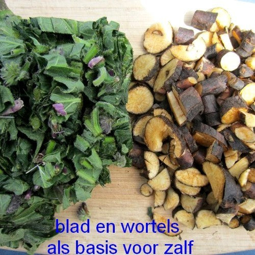 Smeerwortel 'Bocking 14'