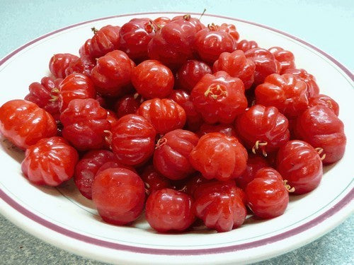 Surinaamse Kers