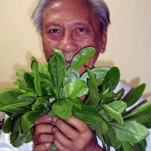 Surinaamse Postelein