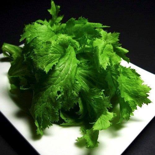 Wasabi