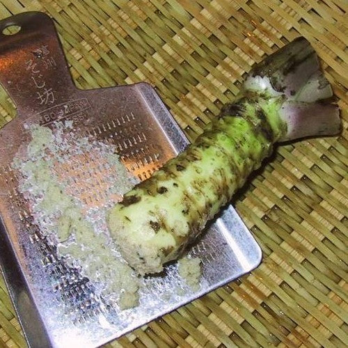 Wasabi