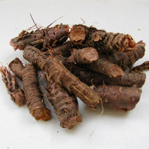 Zaligheidskruid
