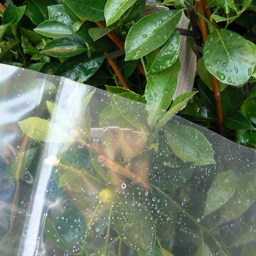 FOlie Transparant, 4m br. 0, 1mm dik