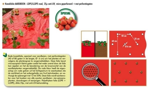 Grondafdekking MulchfOlie Rood Aardbeien