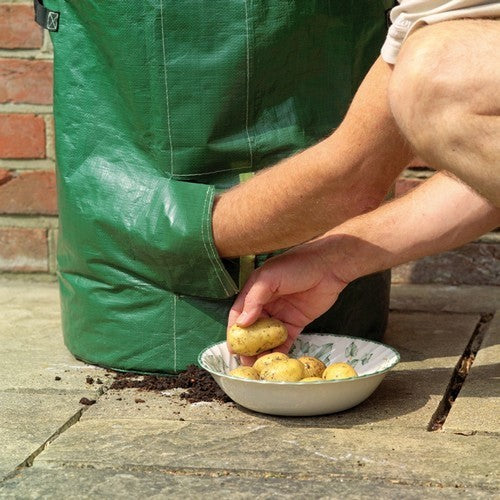Groeizakken Aardappel-Groeizakken