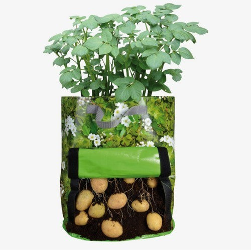 Groeizakken Aardappel-Groeizak