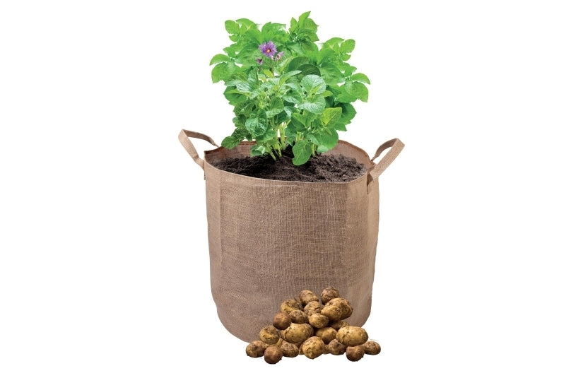 Groeizakken Aardappel-Groeizak W0489
