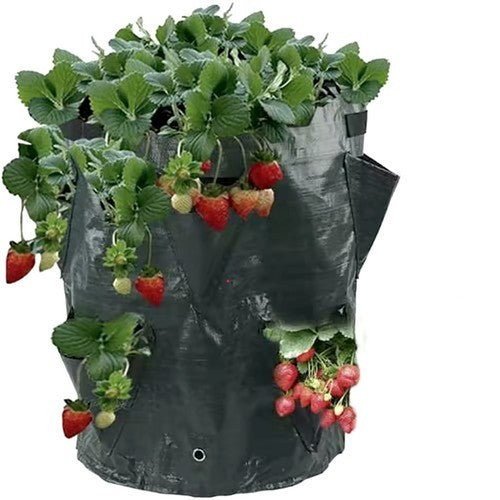 Strawberry Tower Grow Bags