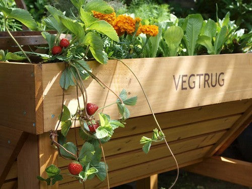 Vegtrug Vegetable Planter Small