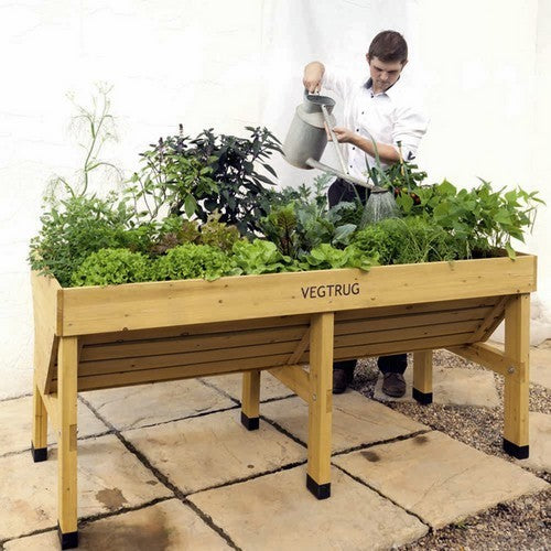 Vegtrug Vegetable Planter medium