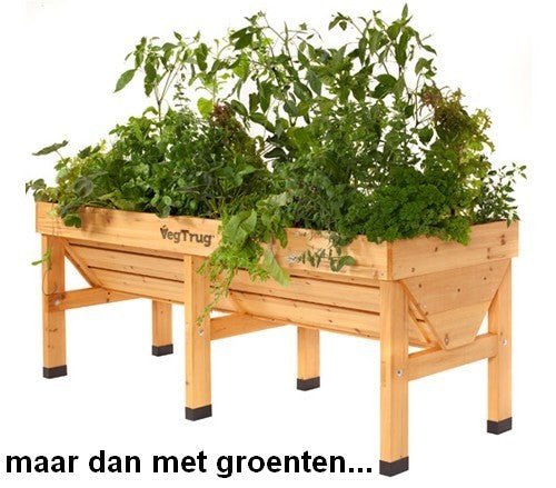 Vegtrug Vegetable Planter medium