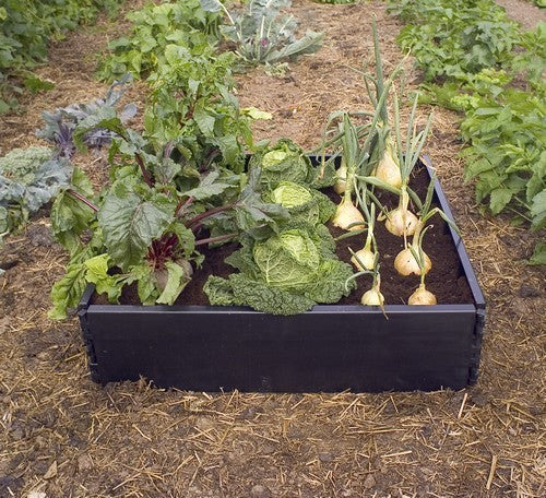 Verhoogd Plantenbed Vierkante Meter Raised Bed G94