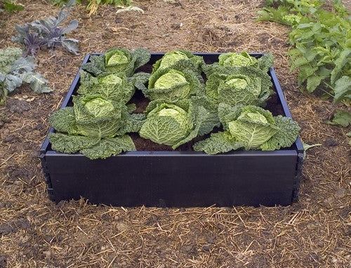 Verhoogd Plantenbed Vierkante Meter Raised Bed G94