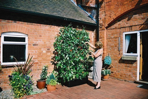 Verhoogd Plantenbed Mini Raised Bed + Support Frame G96