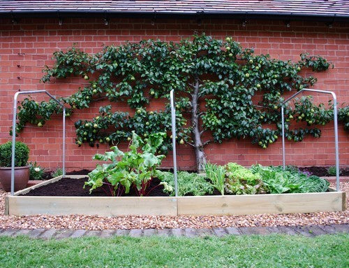 Onderdeel Verhoogd Plantenbed Tentkoepel Houten Plantenbed G