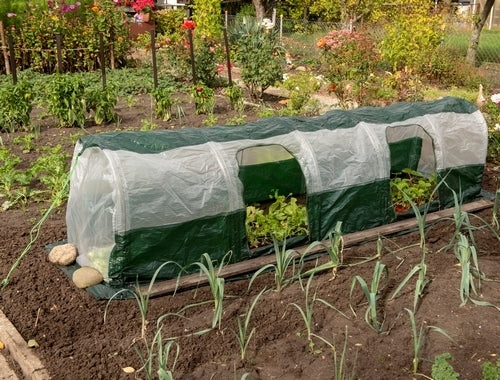 Grow Tunnel Super Dome
