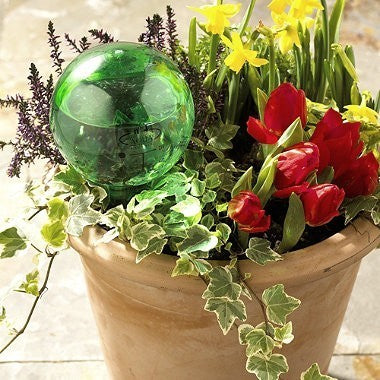 Watergeefsysteem Groene Decofles Flask 500 Ml