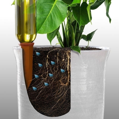 Watering System Set of 4 Hydro Wine Bottle (Terra Cotta Drips)