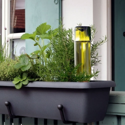 Watering System Set of 4 Hydro Wine Bottle (Terra Cotta Drips)