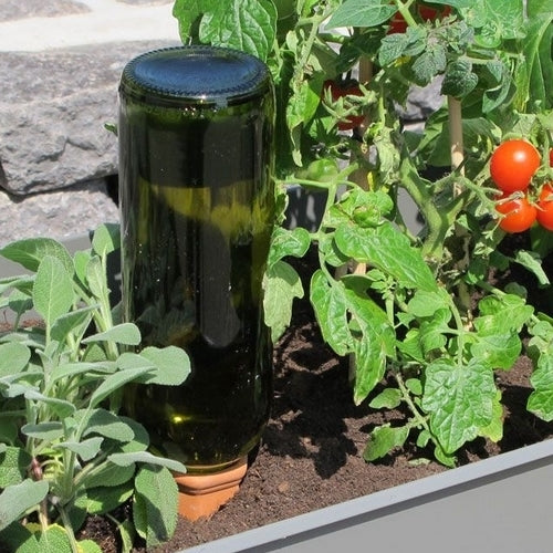 Watering System Set of 4 Hydro Wine Bottle (Terra Cotta Drips)