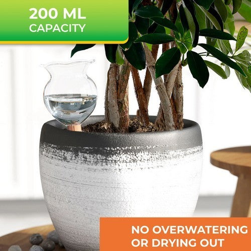 Watergeefsysteem Hydrokelk