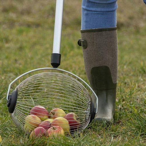 Vruchtenverzamelaar voor Noten & Fruit medium