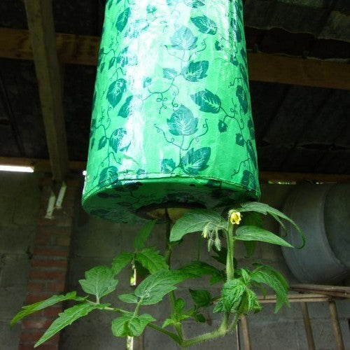 Tomatenplanter Topsy Turvy