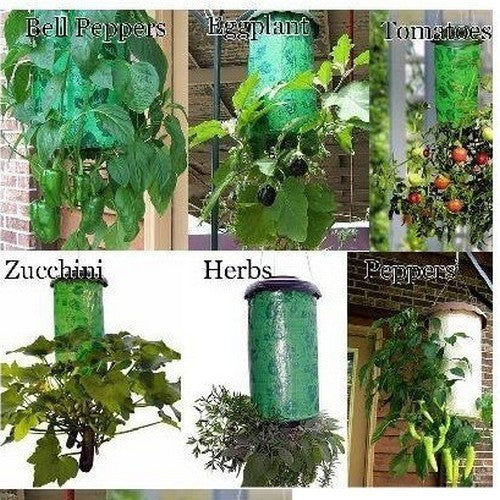 Tomatenplanter Topsy Turvy