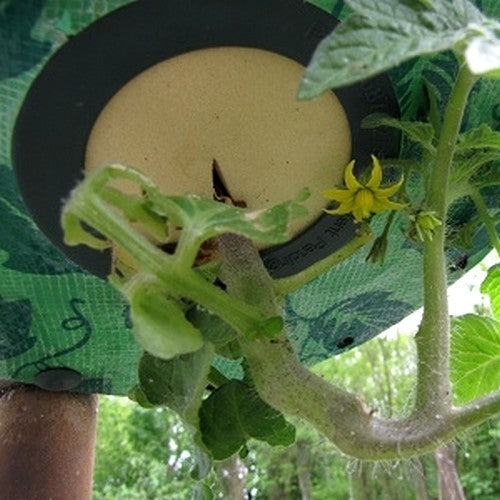 Tomatenplanter Topsy Turvy