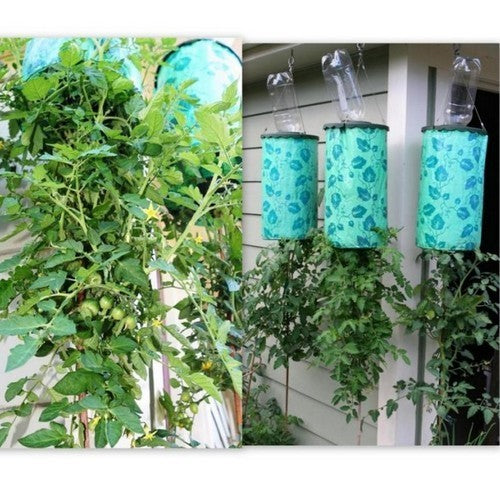 Tomatenplanter Topsy Turvy