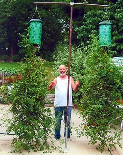 Tomatenplanter Topsy Turvy