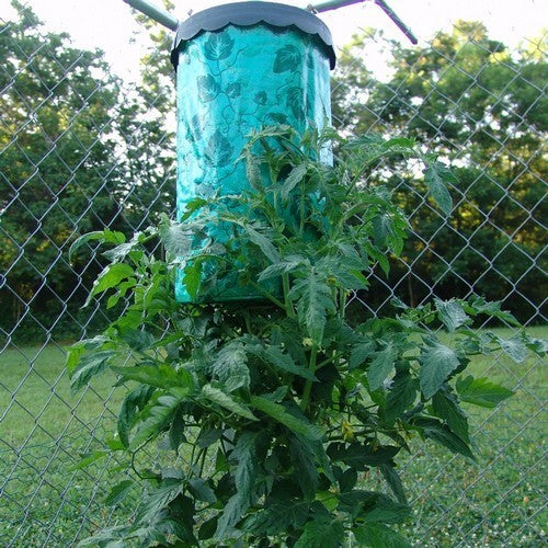 Tomatenplanter Topsy Turvy