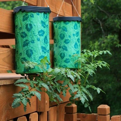 Tomatenplanter Topsy Turvy