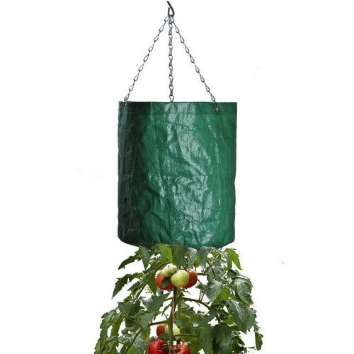 Tomatenplanter Over and Under W0514