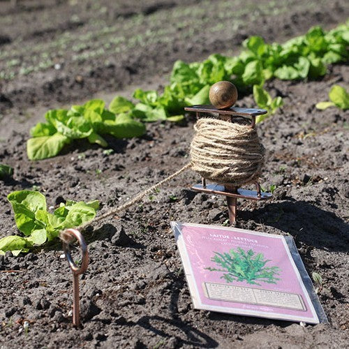 Pootlijnset of Plantlijnset